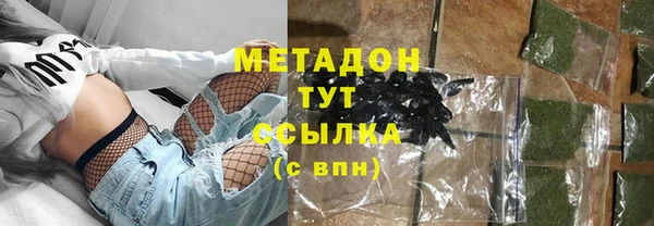 прущие грибы Осинники
