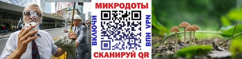 маркетплейс какой сайт  блэк спрут ONION  Петровск  Псилоцибиновые грибы мухоморы 